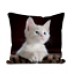 White Kitten 100% Brushed Polyester Cushion - Original Artwork     202403108647