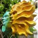 Stunning Sun, Moon Sculpture Mask, Original for Home, Garden, Indoors, Outdoors   262003983709