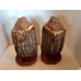 Home Decor Wildlife Rustic Lodge Cabin Bookends Beaver Cut Chewed Wood Tree Log   142904947521