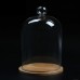 Large Glass Decorative Display Dome Stand Cloche Bell Dark Wooden Base   322675486828