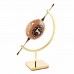 ^Gold Plated Caliper Stand Fossil Specimen Mineral Display AU6   202305252043