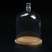 Clear Glass Display Cloche Bell Jar Dome Flower Preserve Vase + Wooden w / Base   292499055798