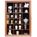 Wall Curio Cabinet / Miniature Shadow Box Display Case w/ glass door ( TC02B  )   270941188134