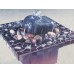 Venezia Mosiac Fountain Kit Makes a Beautiful 8" Square Indoor Fountain 638799500069  263851022074