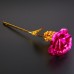 24K Gold Rose Flower Long Stem Golden Dipped Flower Valentine&apos;s Day Lovers&apos; Gift   192422249711