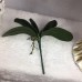 Fake Artificial Leaf of Butterfly Orchid Flower Bush Grass Home Plant Decor   232748976316