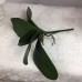 Fake Artificial Leaf of Butterfly Orchid Flower Bush Grass Home Plant Decor   232748976316