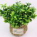 Artificial Plant Flowers Green Foliage Bunch Decorative Boisai Plant 5 Kinds   253712320640