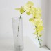 Artificial Butterfly Orchid Silk Flower Wedding Party Fake Home Bouquet Decor   223102868712