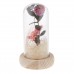 Handmade Dried Flower Gomphrena Globosa Glass Bottle MicroLandscape   302795836888