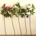 Artificial Bulgaria Roses 1 Branch (2 Heads) 67cm Soft Sweet Pastel Water Color    202403600516