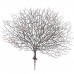Simulation Plastic Coral Tree Branches Twig Plants Home Wedding Decor 46cm   202334811376