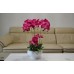 1pc Artificial Silk Butterfly Orchid Flower Plant Wedding Party Home Decorations   253814294542