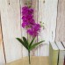 1pc Artificial Silk Butterfly Orchid Flower Plant Wedding Party Home Decorations   253814294542