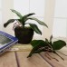 Home Decor Fake Plants Potted Artificial Orchid Leaves Stem Vines Garden Lawn   332681325325