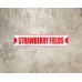 *Aluminum* Strawberry Fields 4" x 18" Metal Novelty Street Sign  SS 3391   251921113491