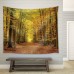 Wall26 Road Through a Forest During Fall Time Fabric - CVS - 68x80 inches   113200586402