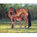 Ceramic Tile Mural Backsplash McDonald Horse Colt Equine Art MMA020   361954295388