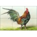 Ceramic Tile Mural Backsplash Brown Rooster Country Life Art MBA014   361947475450