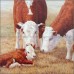 Cow Art Tile Mural Backsplash Elliott Ceramic Country Life CCI-LE18T   362031867933