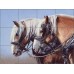 Ceramic Tile Mural Backsplash Halvorson Draft Horses Country Life Art RW-AH004   361520173428