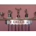Cheer Trophy Shelf and Medal DIsplay   132144797031