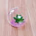 Clear Glass Flower Plant Pot Vase Holder Hydroponic Terrarium Container Decor   331909205529