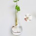 Hanging Glass Flower Planter Vase Terrarium Container Home Ball Decor   253344178323