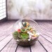 Globe Glass Ball Planter Vase Flower Plant Pot Terrarium Container Tabletop   192480984301