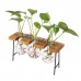 Vintage Style Glass Hydroponic Flower Vase Plant Pot Terrarium Container Decor   273030222345