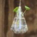Lots Shape Glass Plant Vase Terrarium Hydroponics Hanging Wedding Home Decor   182204418172