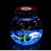 LED Moss Micro Landscape Glass Bottle Terrariumwith Succulent Vase Home Decro S   112635933720