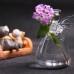 Praying Angel Vases Crystal Transparent Glass Vase Flower Containers Hydrop O2V9 191466591291  253798961616