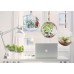 2 3/4" Dia Hanging Glass Globe Terrarium Candle Holder Bulk | Sold by Case of 12   173197366909