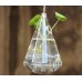 Clear Glass Round with 1 Hole Flower Plant Stand Hanging Vase Hydroponic Decor   112055284144