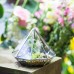 Fern Moss Centerpiece Decor Silver Diamond Glass Geometric Terrarium Succulent    162710002581