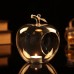 Blown Glass Apple Flower Vase Succulent Terrarium Landscape Hanging/Table Holder   181649620701
