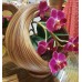 Complements Natural Bamboo, New Design Woven Bamboo Vase Basket Handle   263769382413