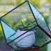 Irregular Glass Geometric Terrarium Box Succulent Plant Planter Art Pot Box   263798685763