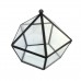 Irregular Glass Geometric Terrarium Box Succulent Plant Planter Art Pot Box   263798685763