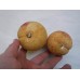 2pc Two Vintage Alabaster Stone Fruit Apricot Peach   292675121527
