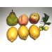 Realistic Plastic Fruit Lot Kitchen Decor Props Artificial Apple Grapes Peach   113192354760