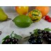 Decorative Faux Fruit Plastic Mid-Century Vintage Kitchen Decor Crafts Props     192616371189
