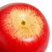 Decorative Artificial Apple Plastic Fruits Imitation Home Decor 6pcs Red T9Q8 190268123297  253343168179