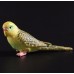 Parrot Garden Bird PVC Mini Figurine Figure Model Toy Budgerigar Budgie   302435927202