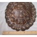 Sea Turtle Shell Hand Painted Metal Sculpture Beach Realistic BIG 3 lbs 15"X10"   202357659340