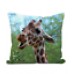 Giraffe Saying Hi 100% Polyester Velour Cushion - Original Artwork     202402950103